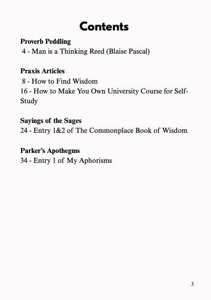 Proverb Peddling Zine Issue 1 - Digital Download (PDF)