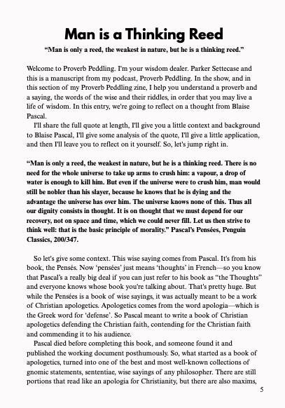 Proverb Peddling Zine Issue 1 - Digital Download (PDF)