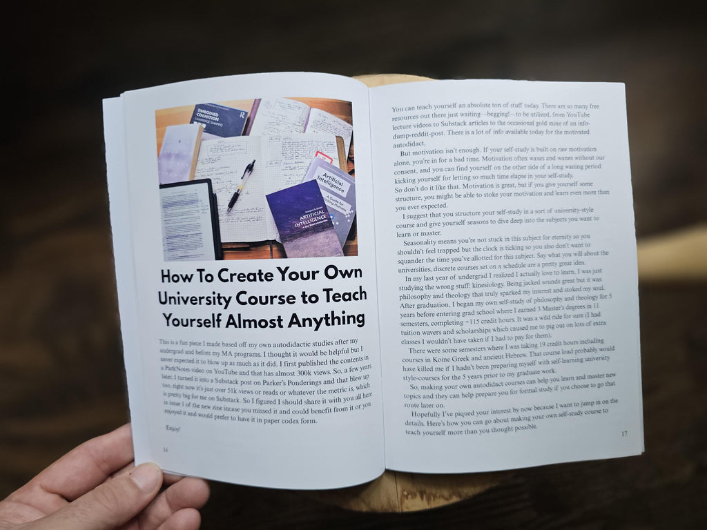 Proverb Peddling Zine Issue 1 - 2nd Printing